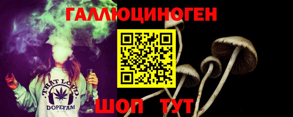 Сочи  даркнет сайт  Галлюциногенные грибы Psilocybine cubensis  Вход с VPN  Псилоцибиновые грибы Cubensis 